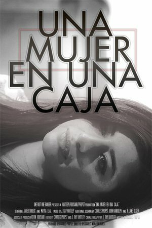 Una Mujer en una Caja (2011)