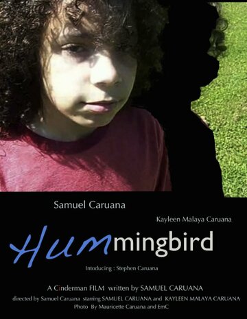 Hummingbird (2011)
