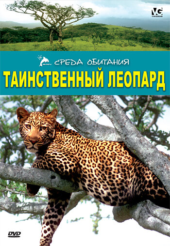 Таинственный леопард трейлер (2001)