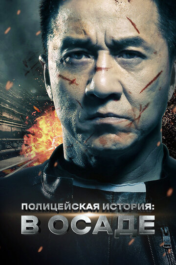 Полицейская история 2013 (2013)