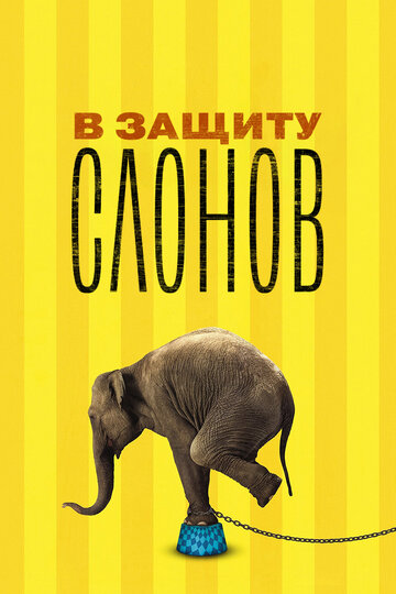 В защиту слонов трейлер (2013)