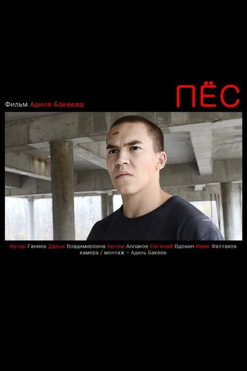 Пес 2012 трейлер (2012)