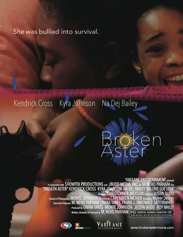 Broken Aster (2013)