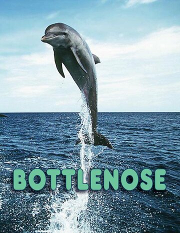 Bottlenose трейлер (2013)