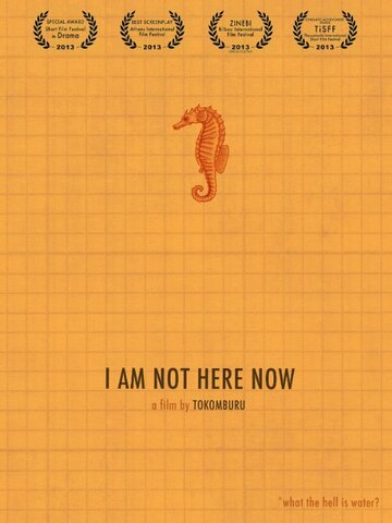 I Am Not Here Now трейлер (2013)