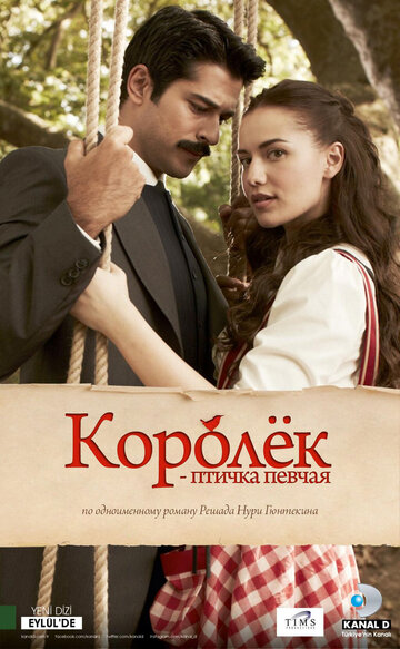 Королек – птичка певчая (2013)