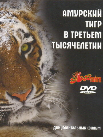 Амурский тигр в третьем тысячелетии (2010)