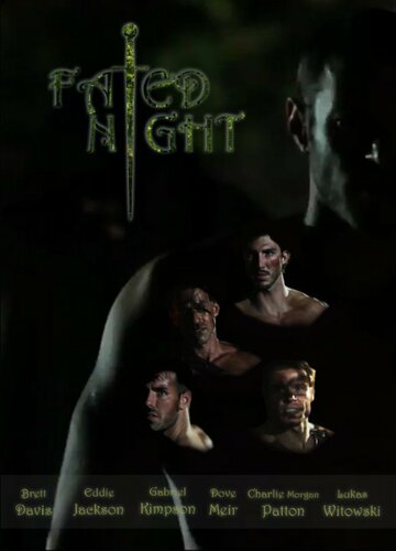 Fated Night (2013)