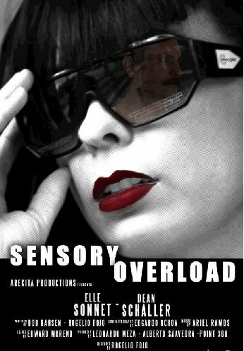 Sensory Overload (2014)