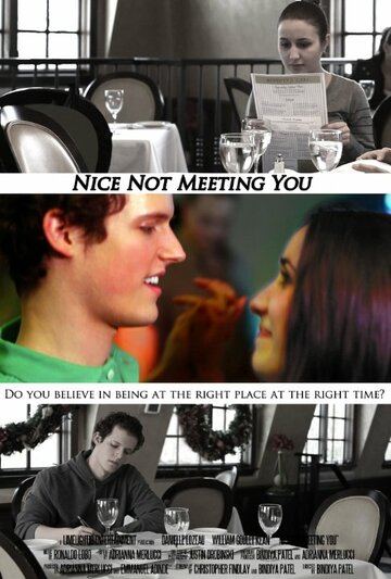 Nice Not Meeting You (2011)