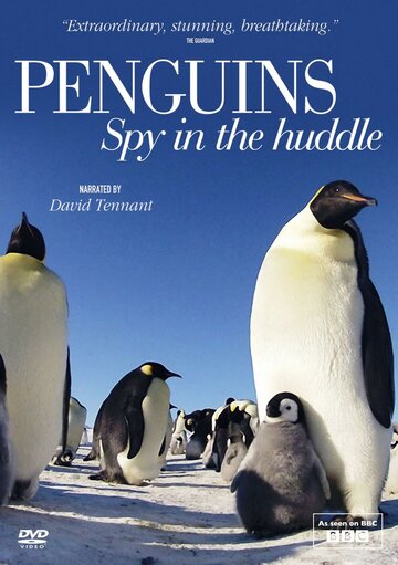 Пингвины: Шпион в толпе трейлер (2013)