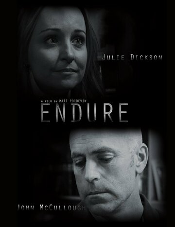 Endure (2014)