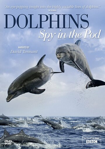 Дельфины скрытой камерой трейлер (2014)