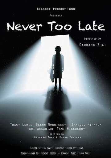 Never Too Late (2016)