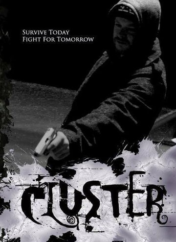 Cluster (2013)