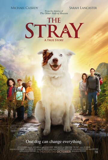 The Stray трейлер (2017)