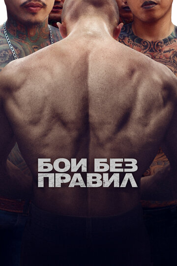 Бои без правил 2017 трейлер (2017)