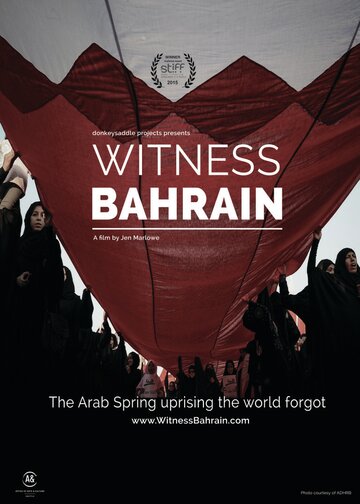 Witness Bahrain (2014)