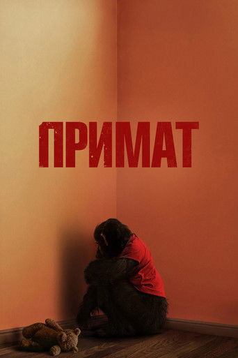 Primate